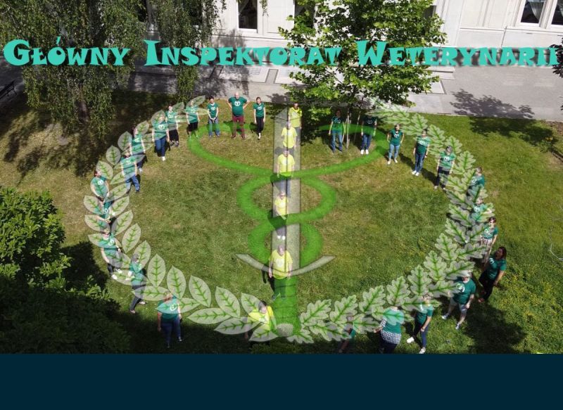 GIW - nie tylko obowiązki i przepisy, ale także 